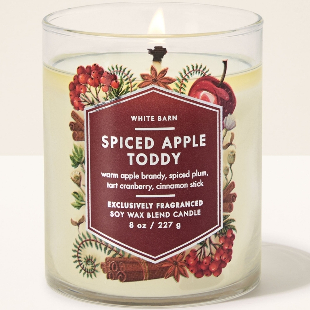 Bath Body Works White Barn Spiced Apple Toddy Single Wick Candle 8oz NEW Rare